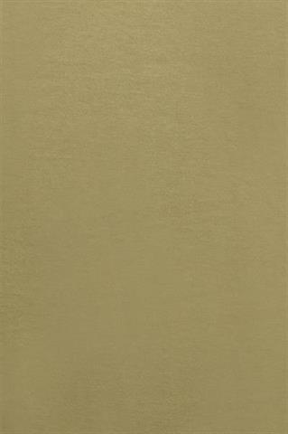 Bawełniany t-shirt męski khaki z nadrukiem 78041 - 380831