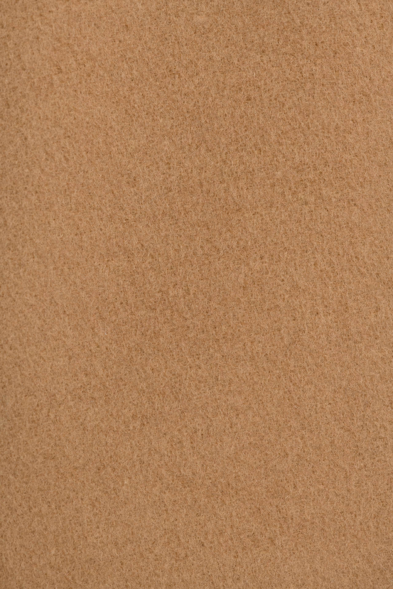 24284711557_(T)