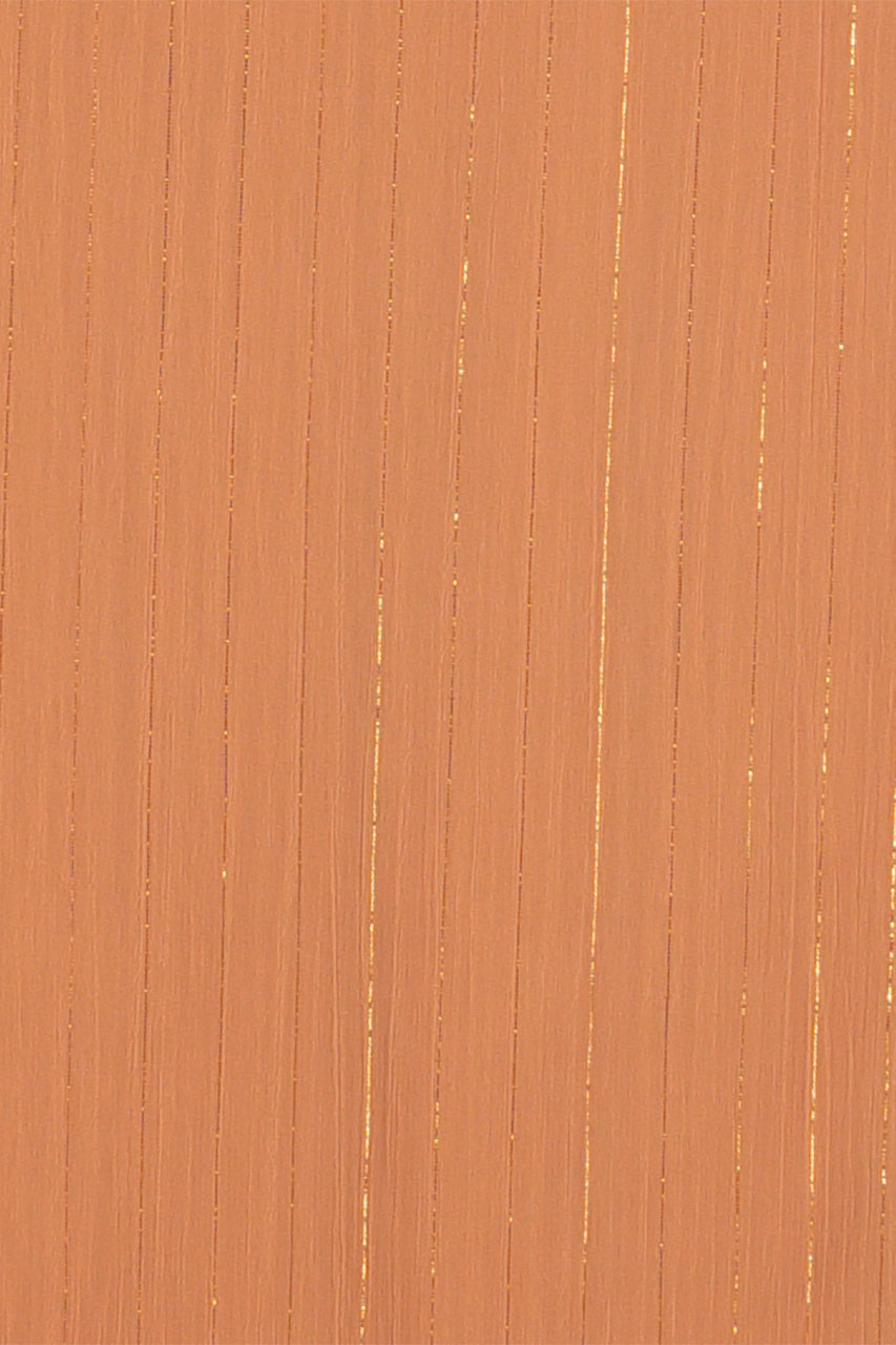 26085424557_(T)