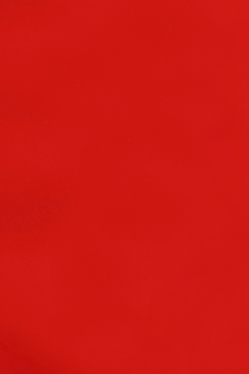 25685913557  (T)
