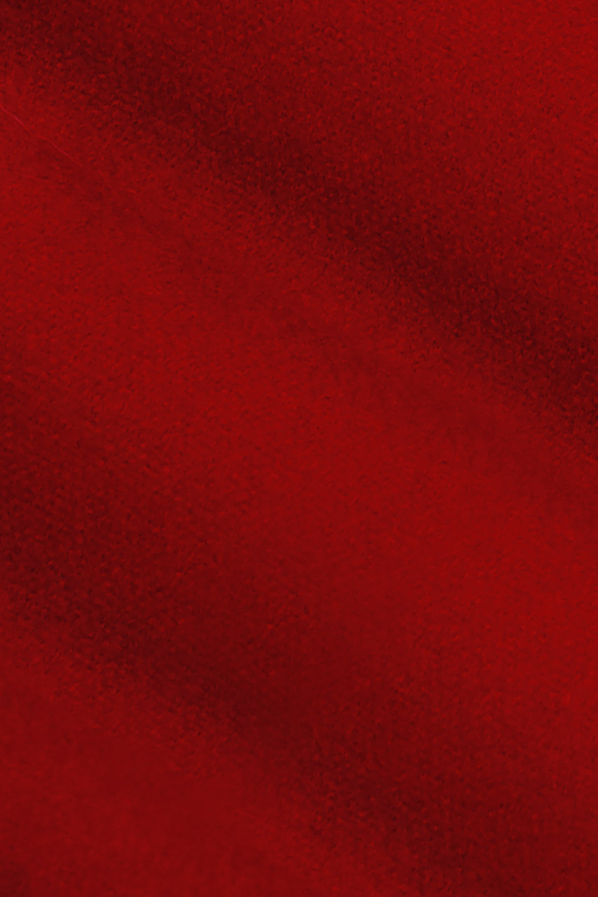 24286108557_(T)