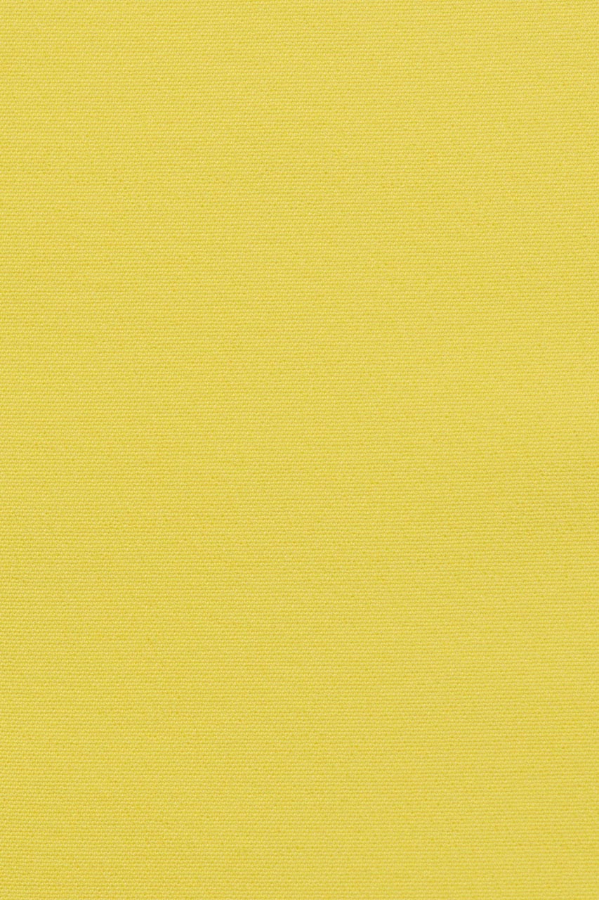 25684618557_(T)
