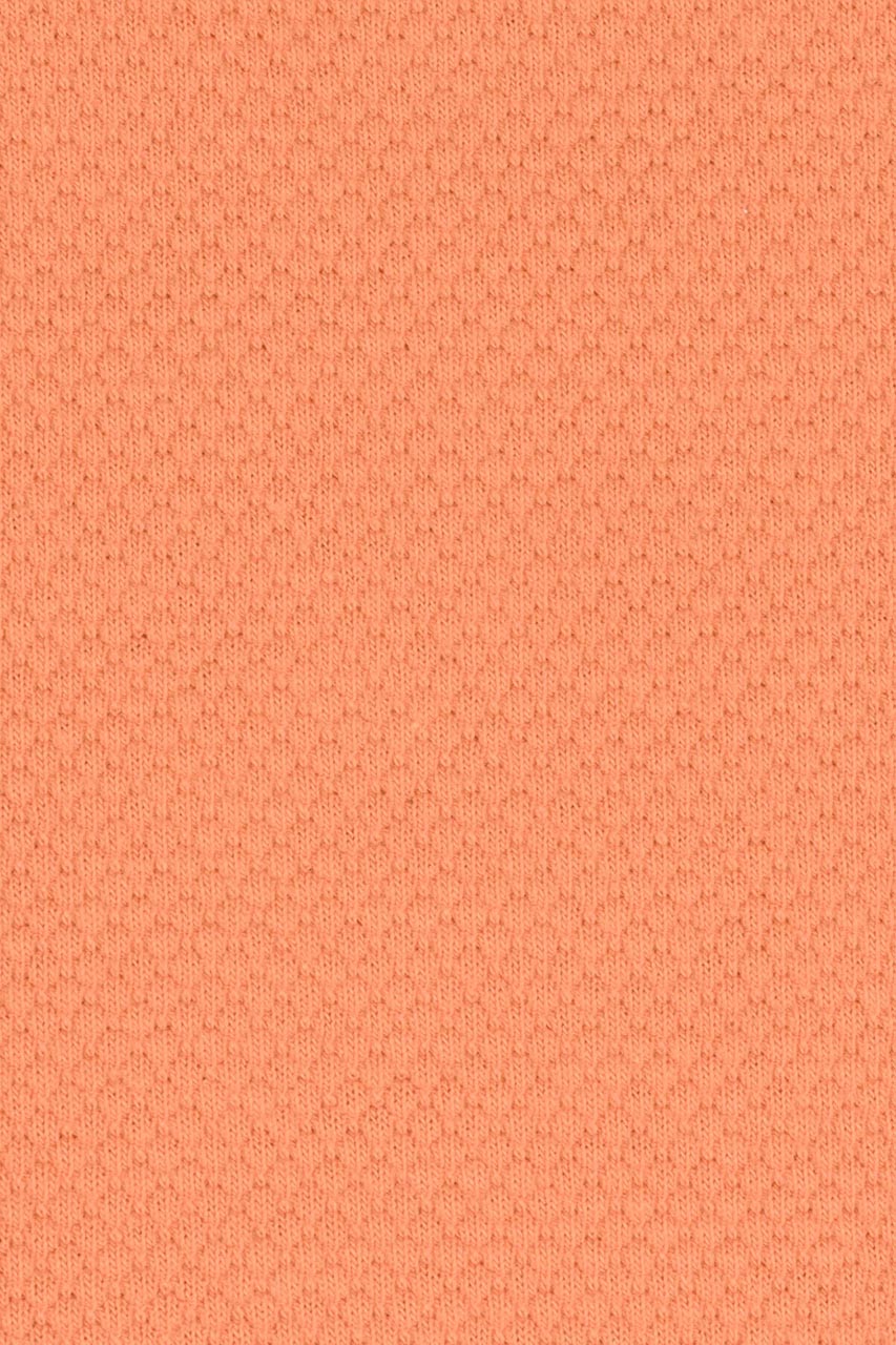 20872889812_(T)